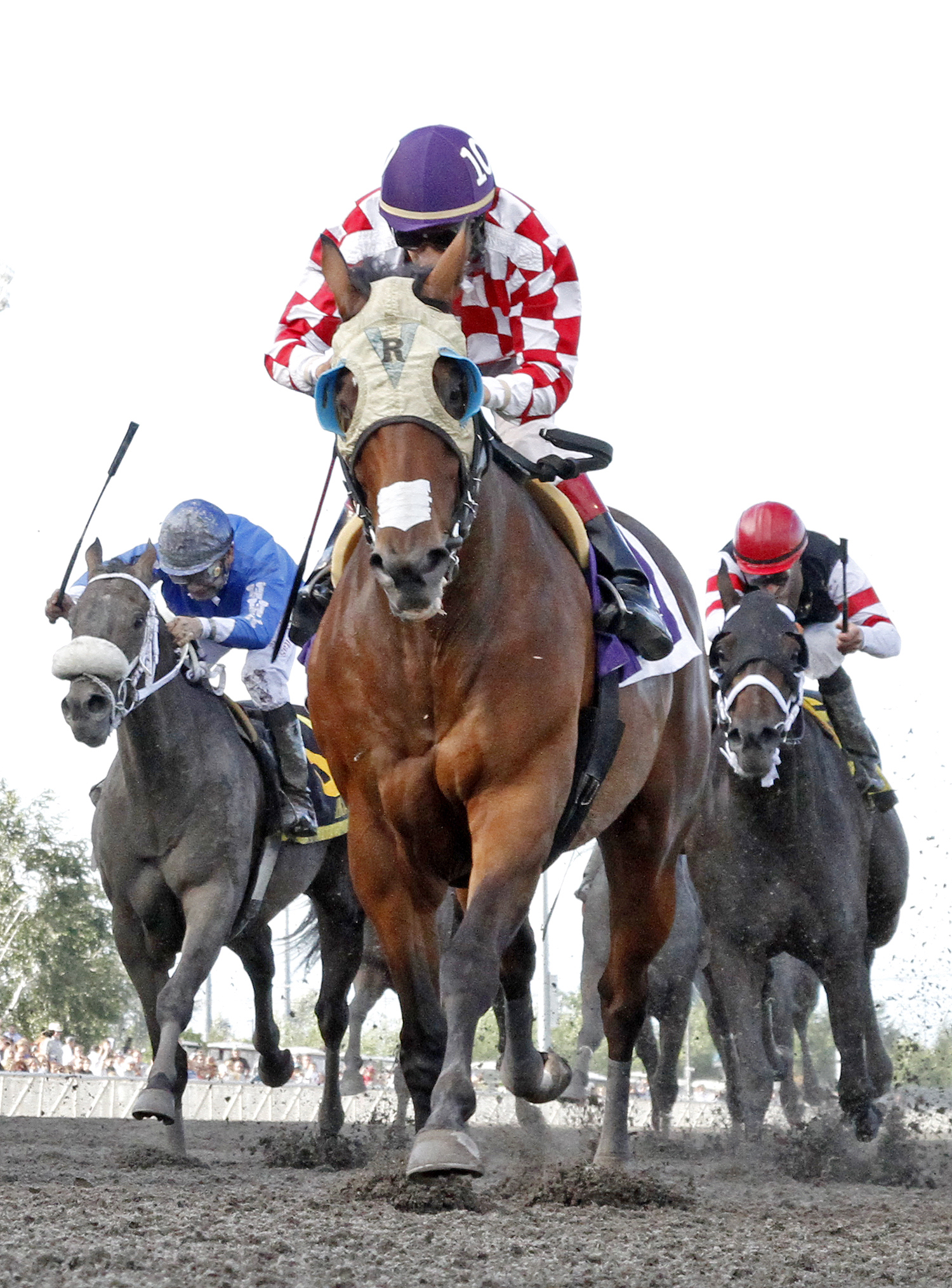 Herbie D wins the 2013 Longacres Mile