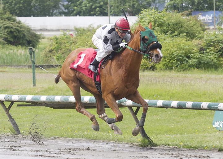 Here's Hannah wins the 2019 Vancouver Sun