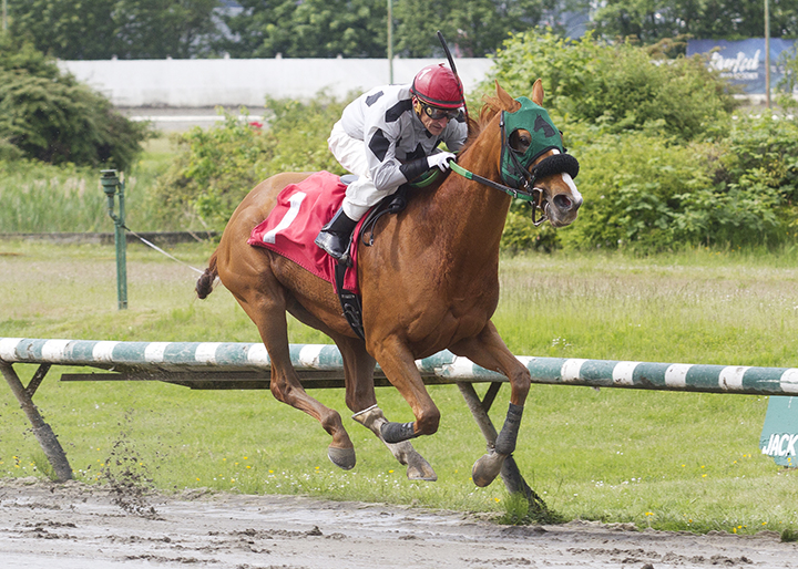 Here's Hannah wins the 2019 Vancouver Sun