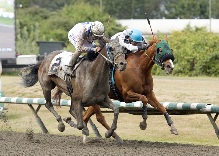 Here's Hannah (right) finishes second in the Delta Colleen Handicap at Hastings
