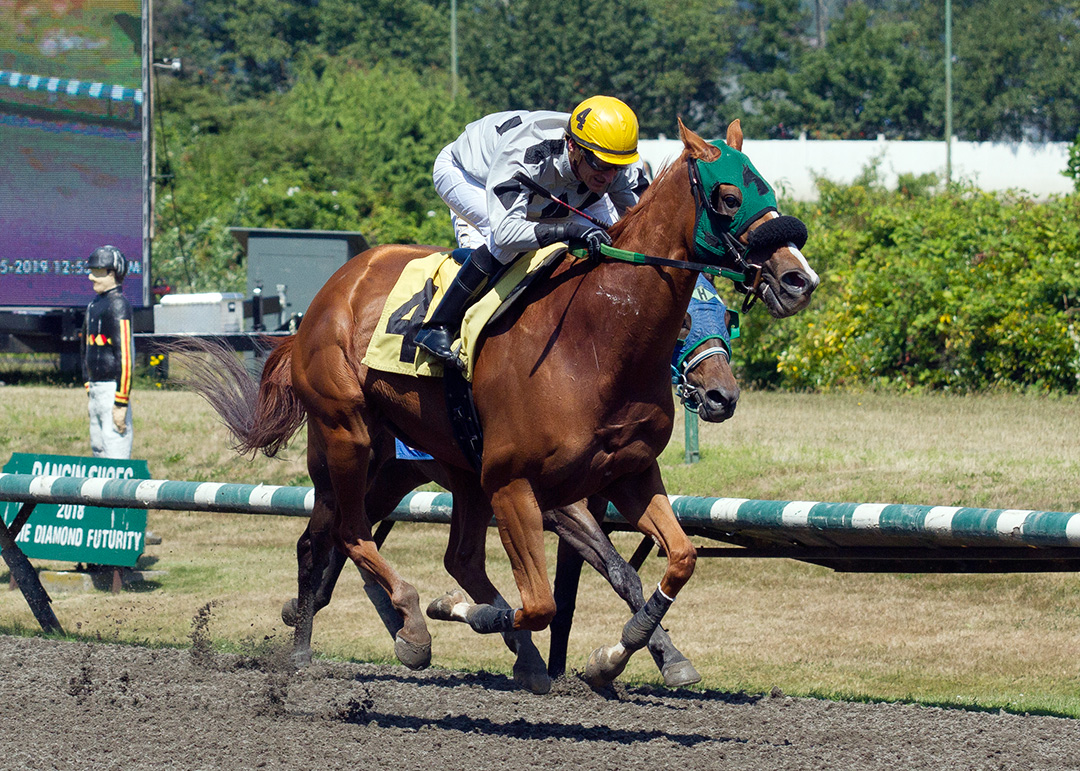 Here's Hannah wins the 2019 Derby Bar and Grill BC Cup Distaff at Hastings