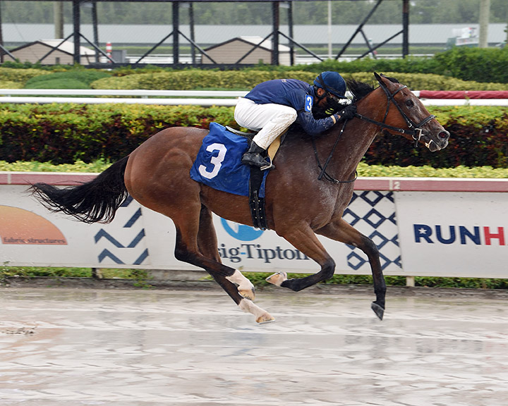 Hero of the Future wins a May 15 maiden race at Gulfstream Park