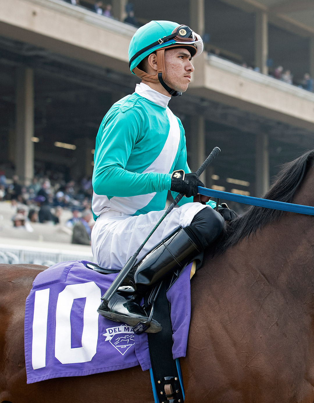 Apprentice jockey Diego Herrera at Del Mar on Nov. 4