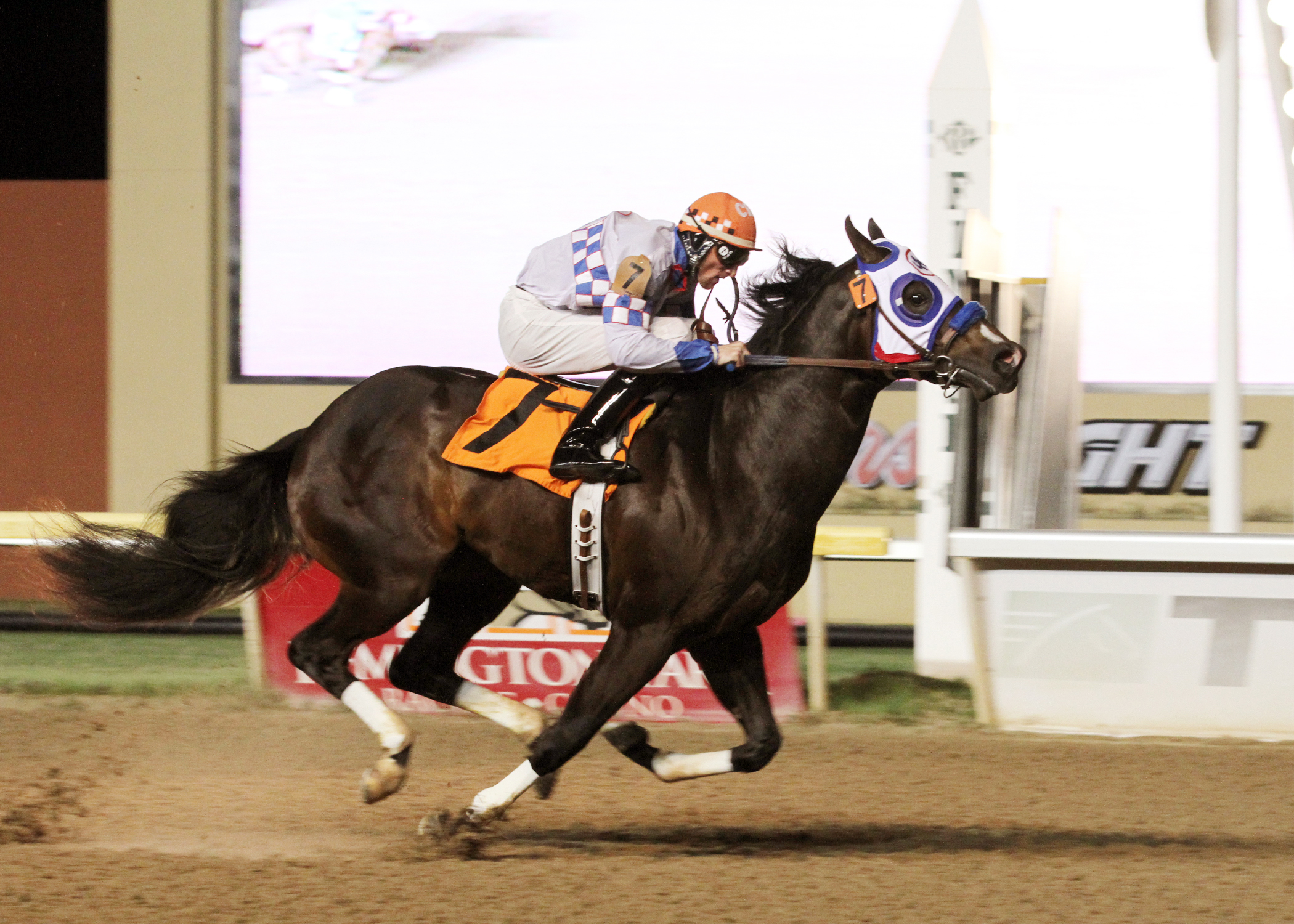 Hes Relentless wins the 2013 Heritage Place Futurity Trials