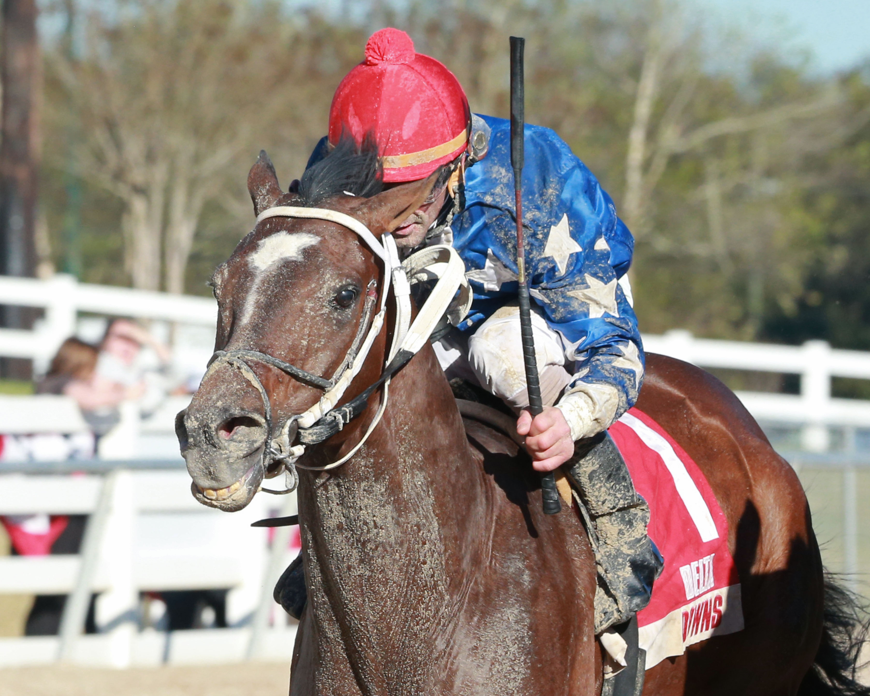 Hesinfront wins the Delta Mile