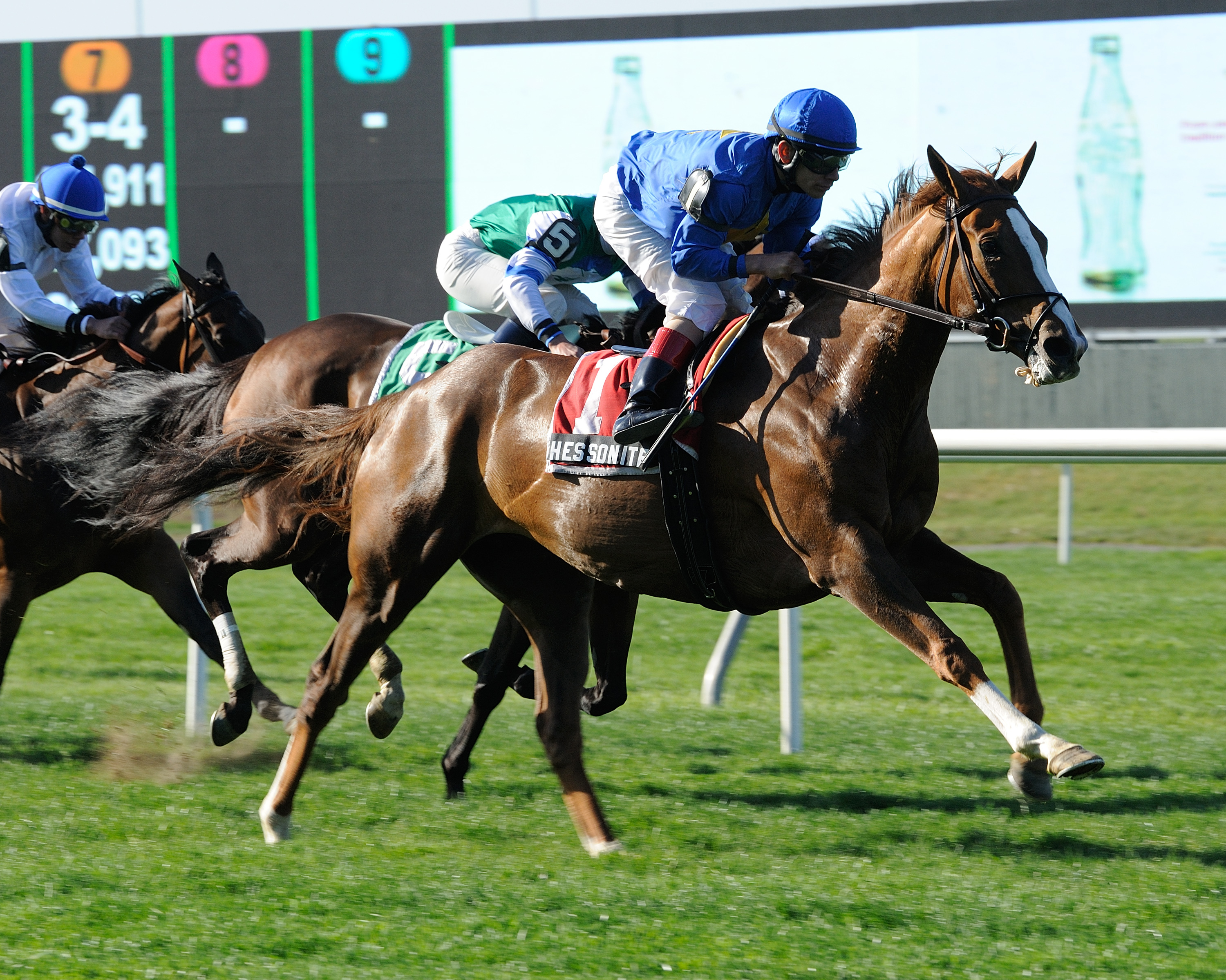 Hessonite, Beaugay Stakes