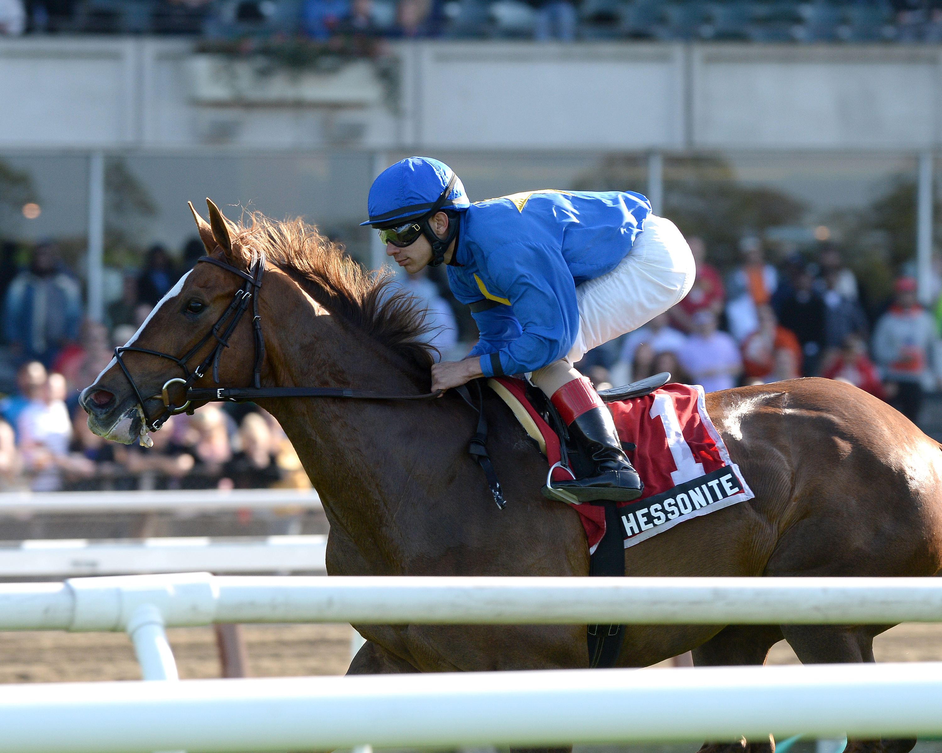 Hessonite, Beaugay Stakes