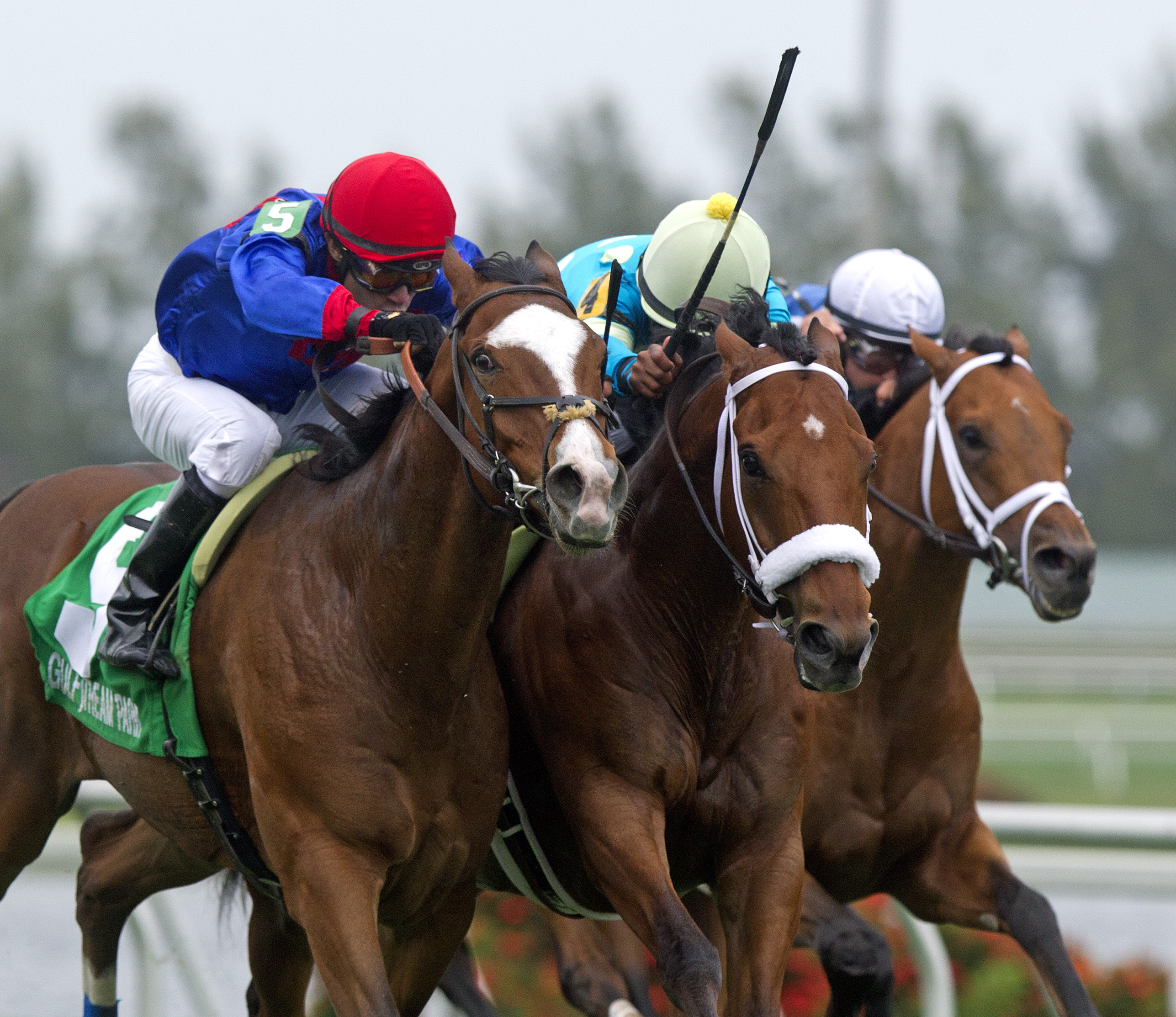 Hey Leroy, Appleton Stakes