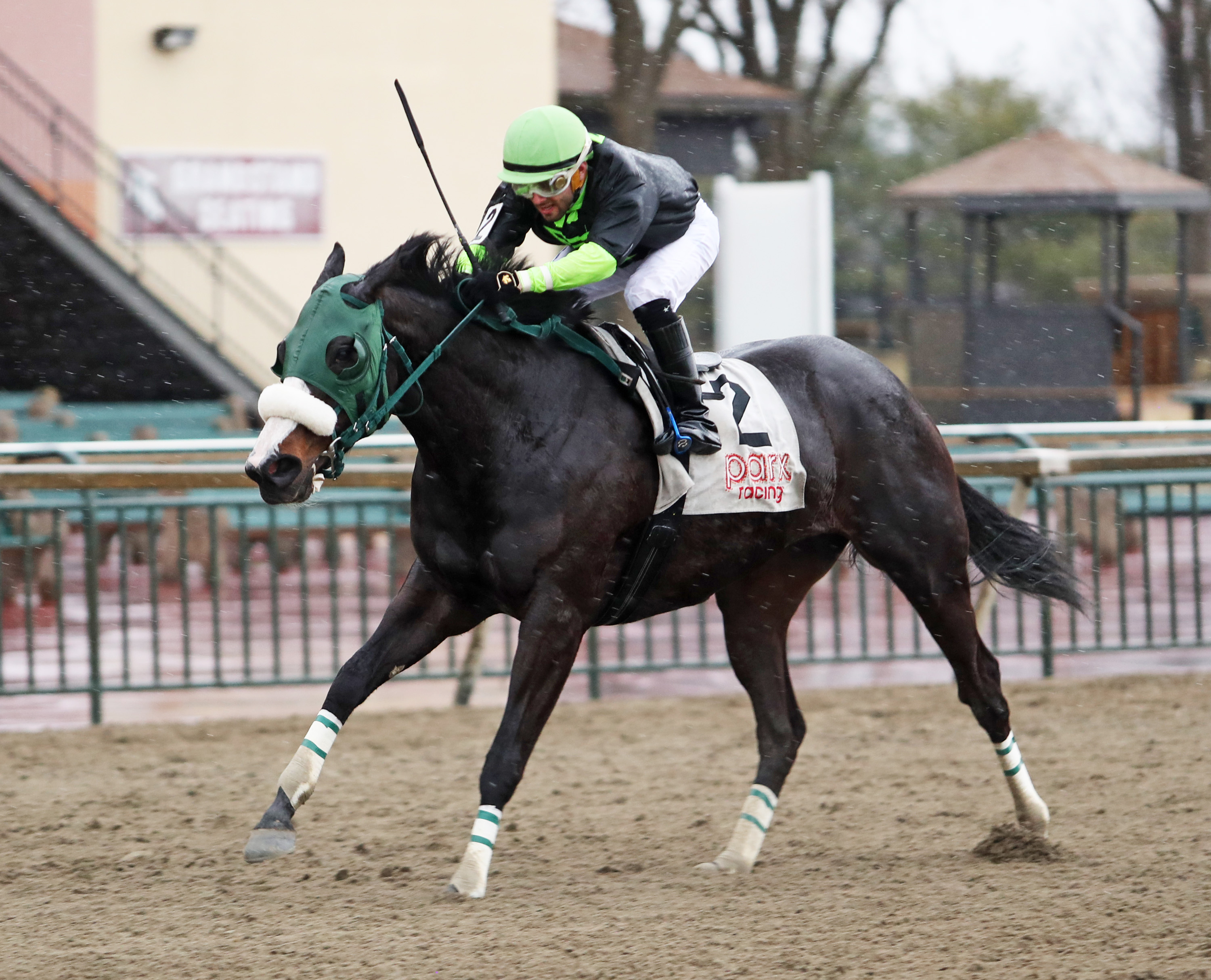 Hey Mamaluke wins the Penn's Landing.03.07.2022