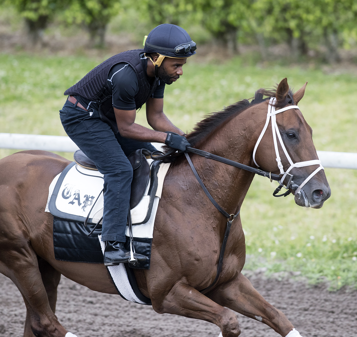Hi Happy trains at Palm Beach Downs on March 29