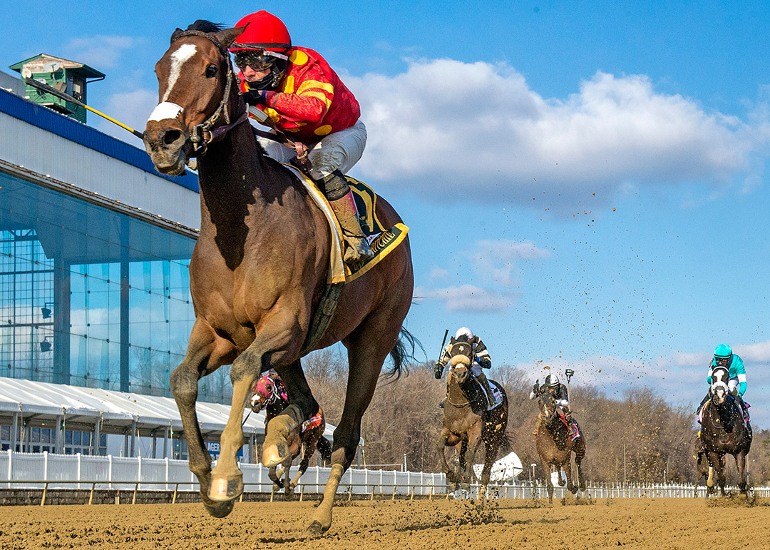Hibiscus Punch wins the 2021 Barbara Fritchie Stakes at Laurel Park