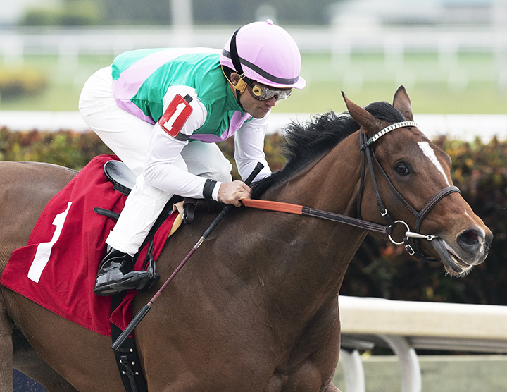 Hidden Scroll wins a maiden race on 1.26.19 at Gulfstream