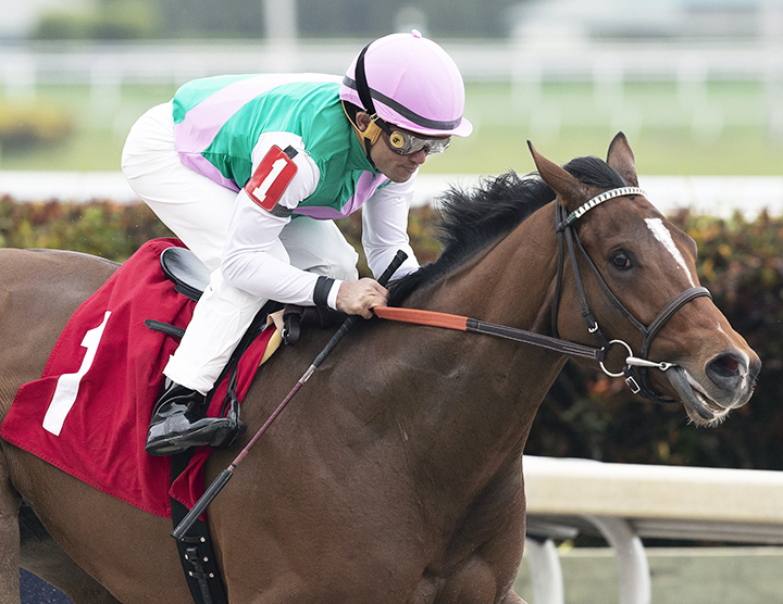 Hidden Scroll wins a Jan. 26 maiden