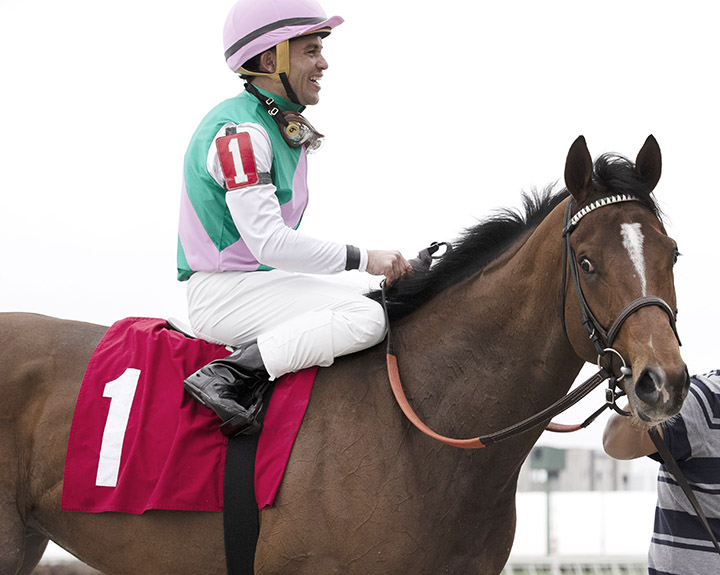 Hidden Scroll at Gulfstream on January 26
