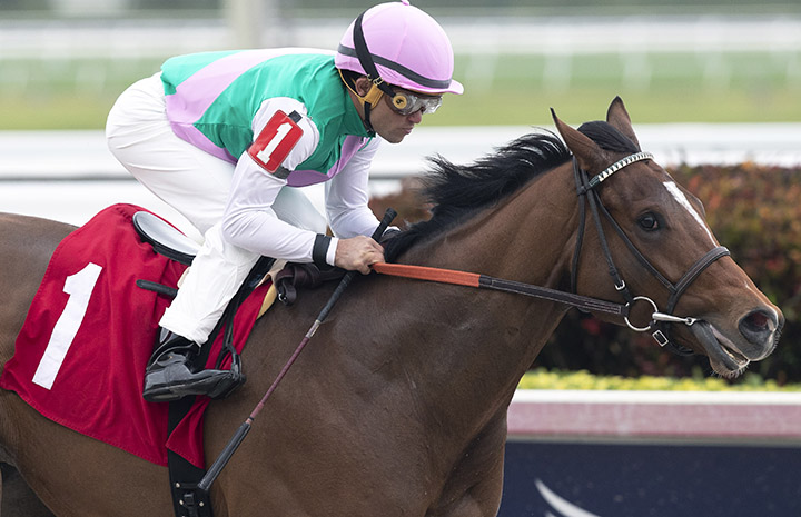 Hidden Scroll wins a Jan. 26 maiden