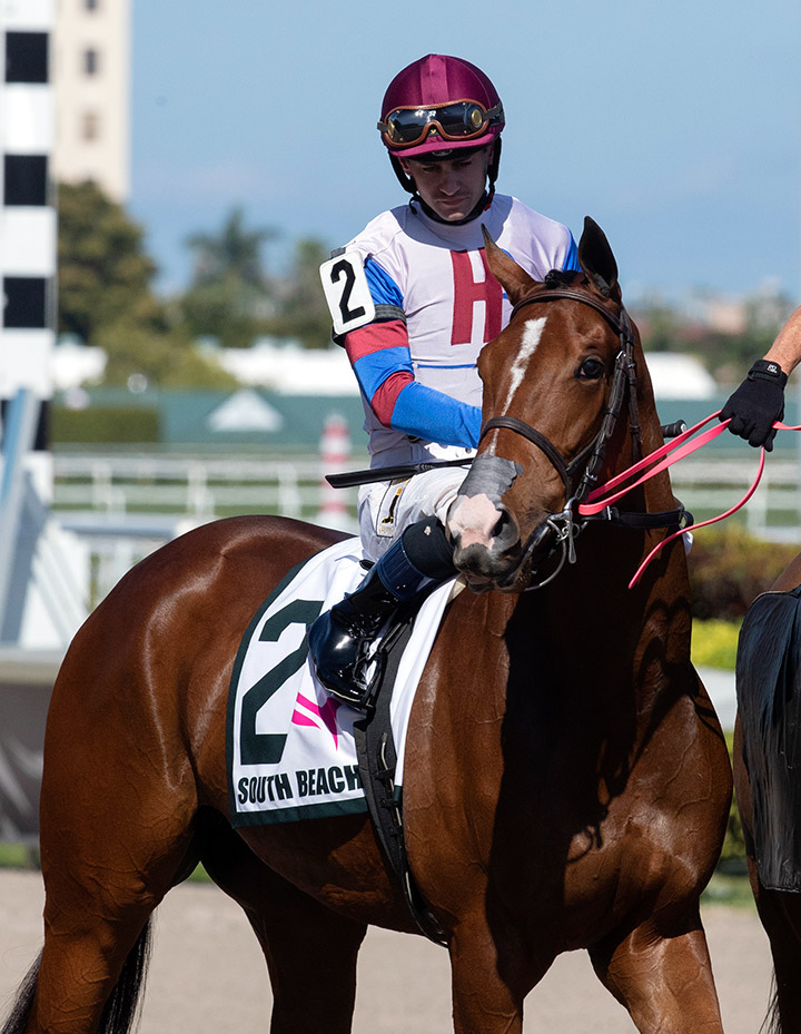 Hidden Facts at the 2020 South Beach Stakes at Gulfstream Park