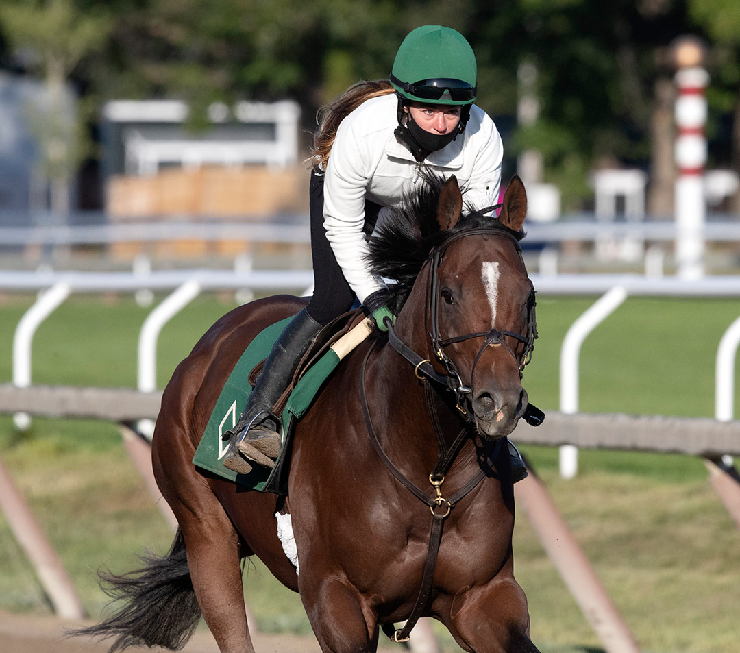 Hidden Scroll trains at Saratoga Race Course