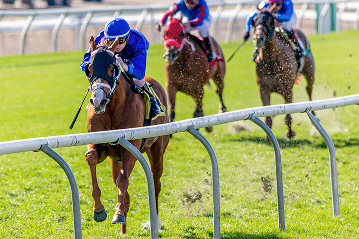 Hieronymus wins the 2020 Randy P. Romero Memorial Stakes at Fair Grounds