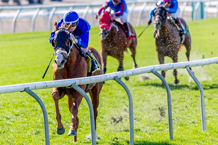 Hieronymus wins the 2020 Randy P. Romero Memorial Stakes at Fair Grounds
