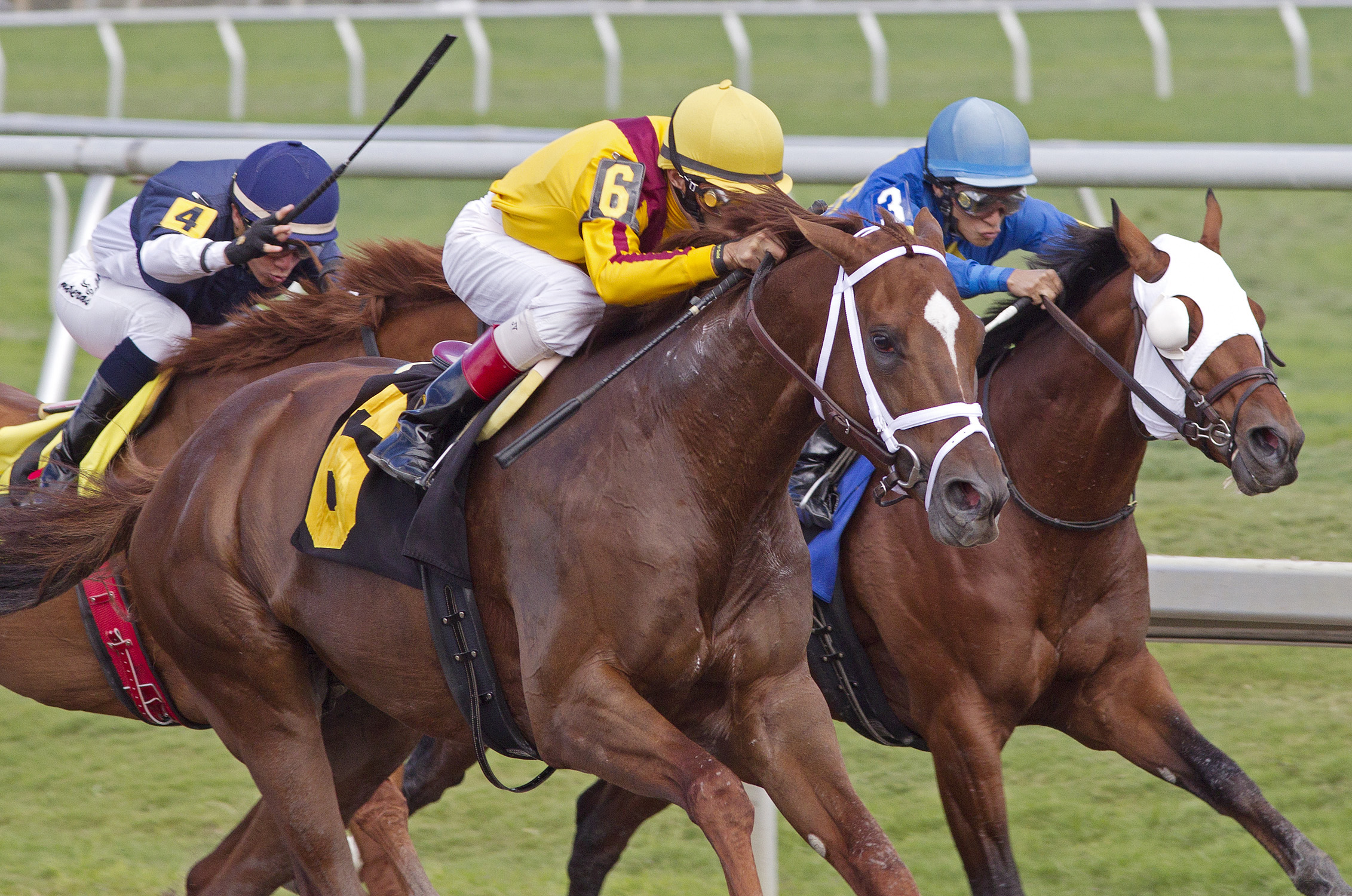 Hierro, allowance race