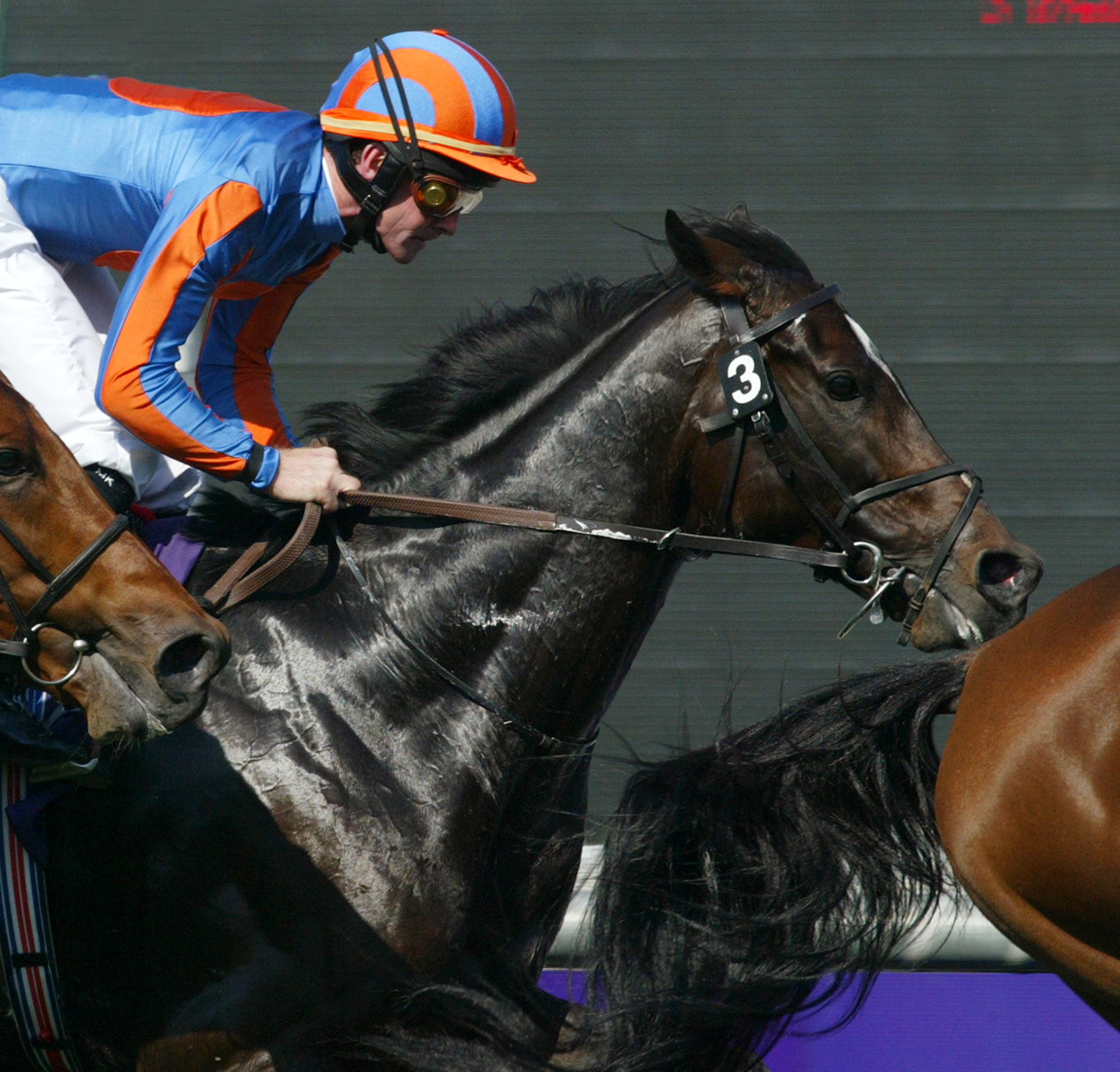High Chaparral