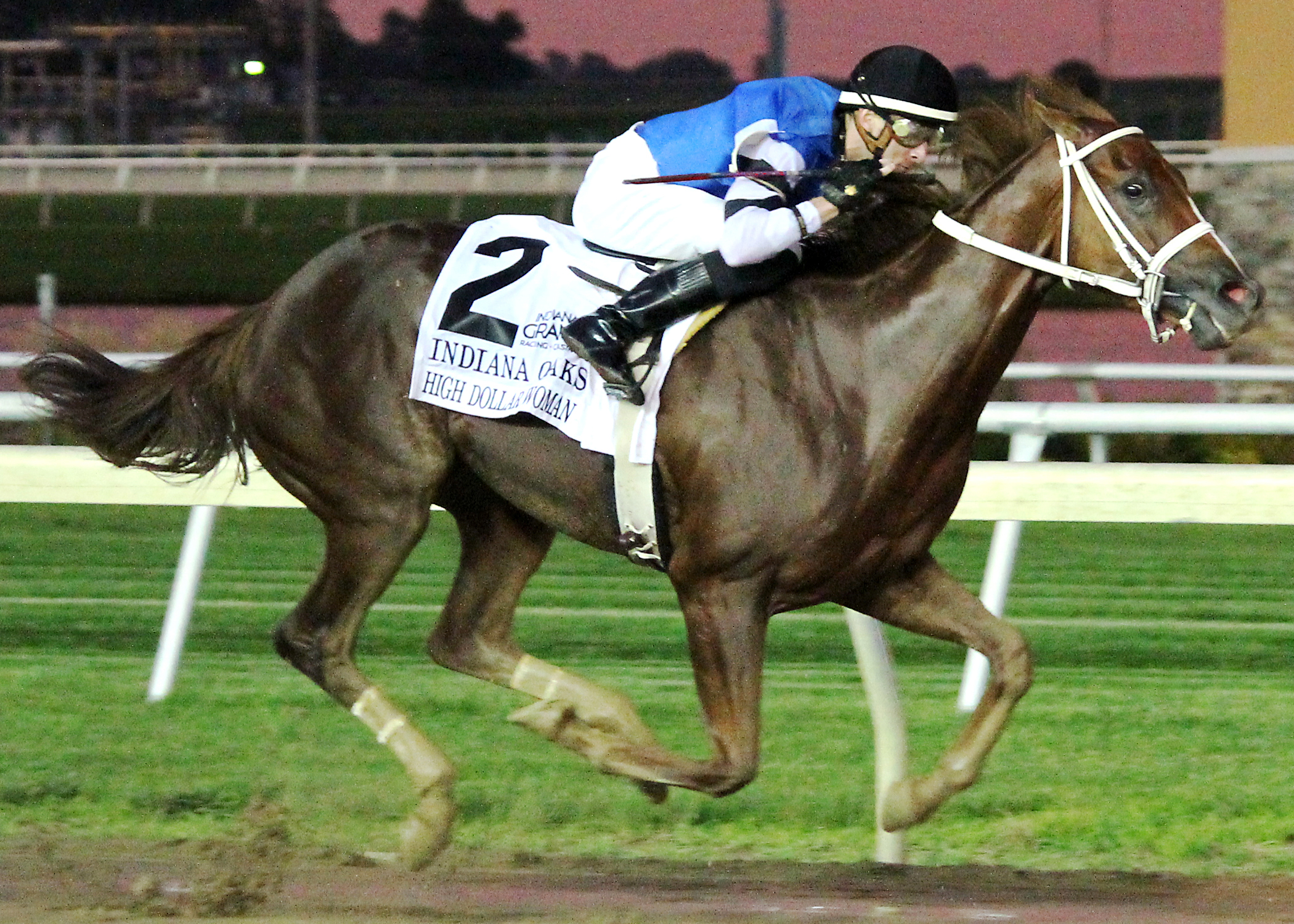 High Dollar Woman wins the Indiana Oaks