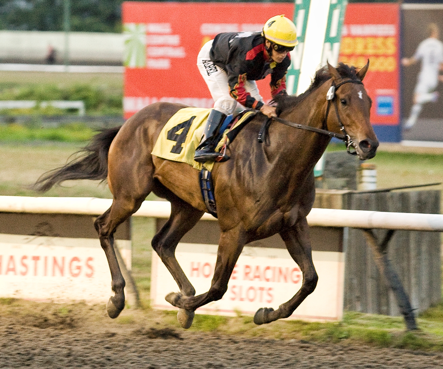 High End Man, Richmond Derby Trial