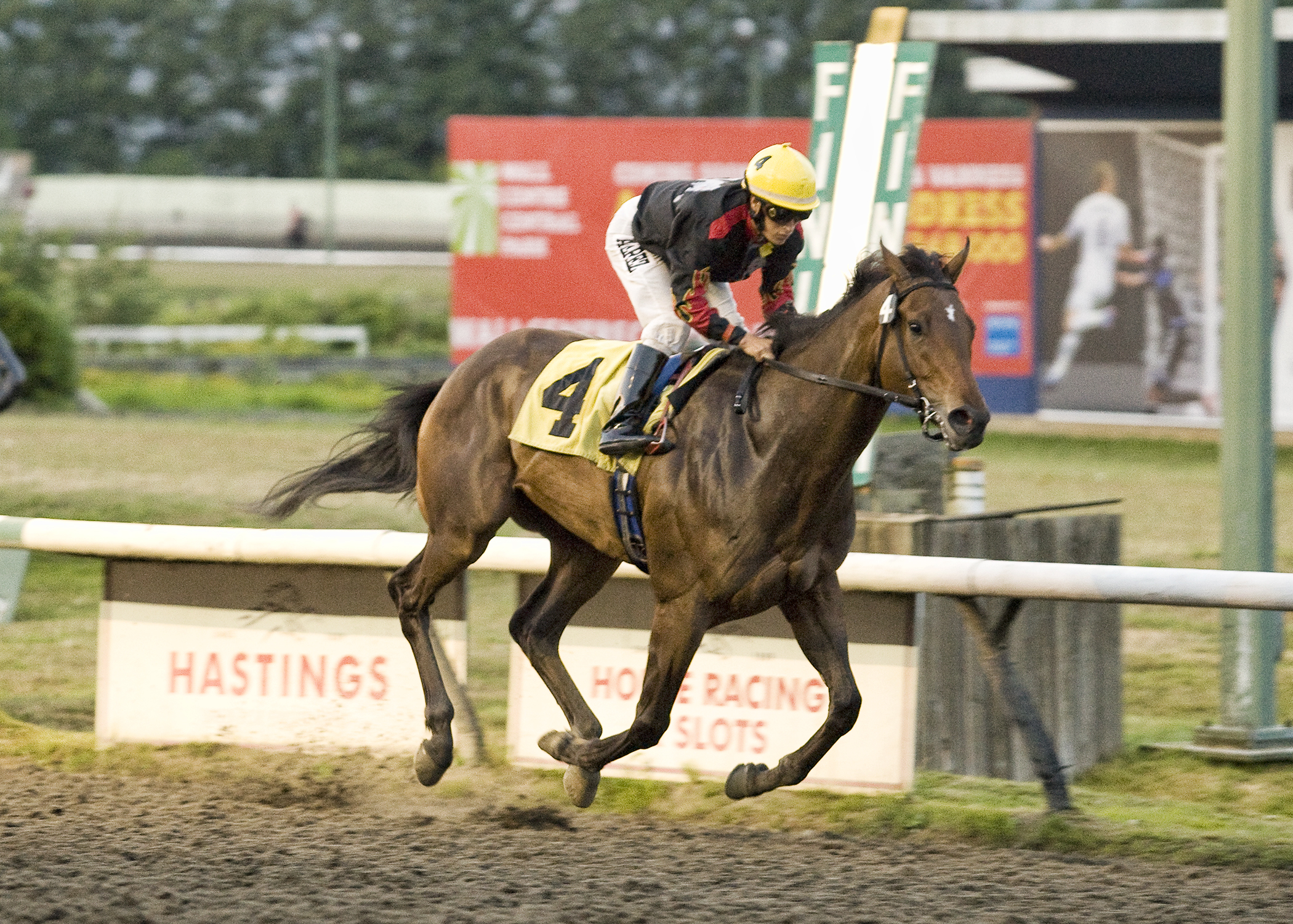 High End Man/Richmond Derby Trial
