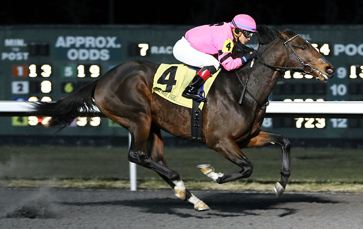 High Holy wins a Jan. 16 allowance race at Turfway Park