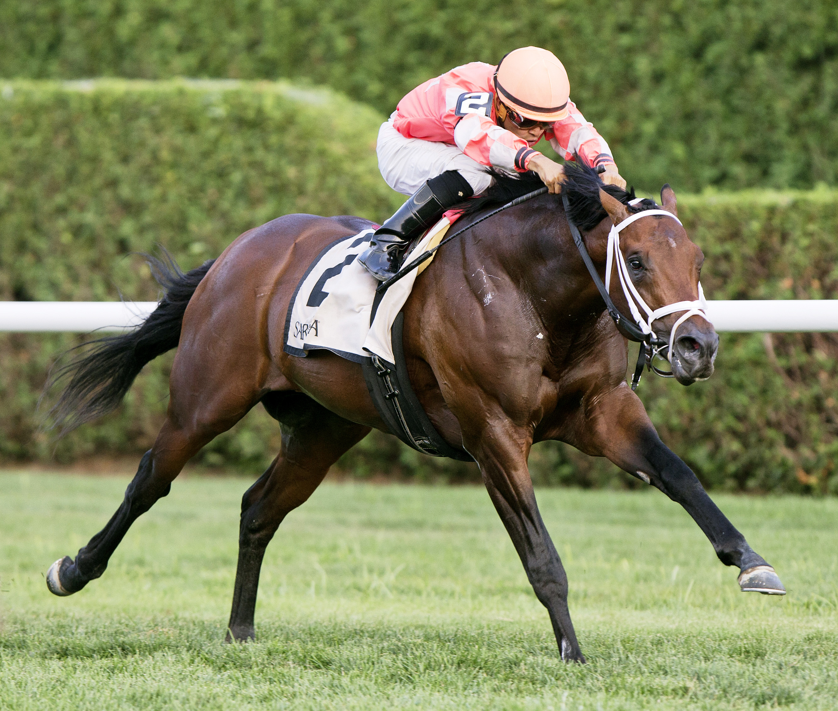 High Noon Rider wins the Better Talk Now Stakes