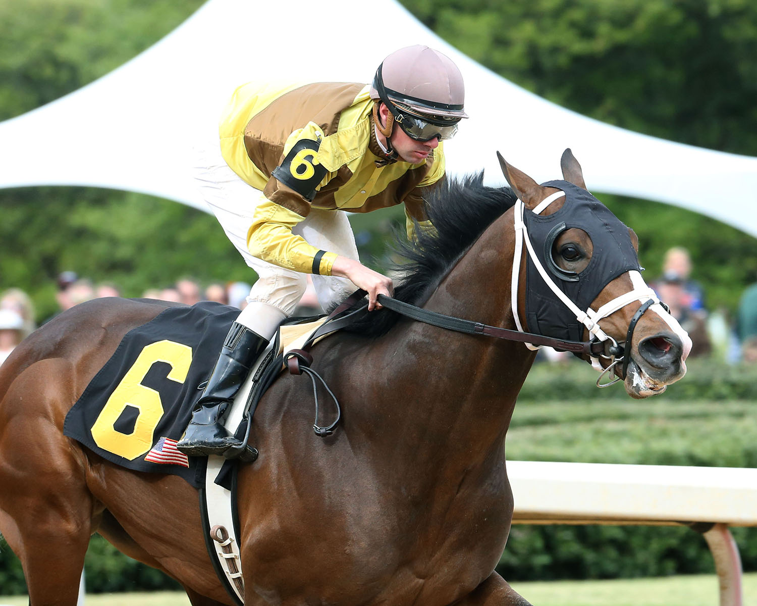 High North wins the 2018 Northern Spur