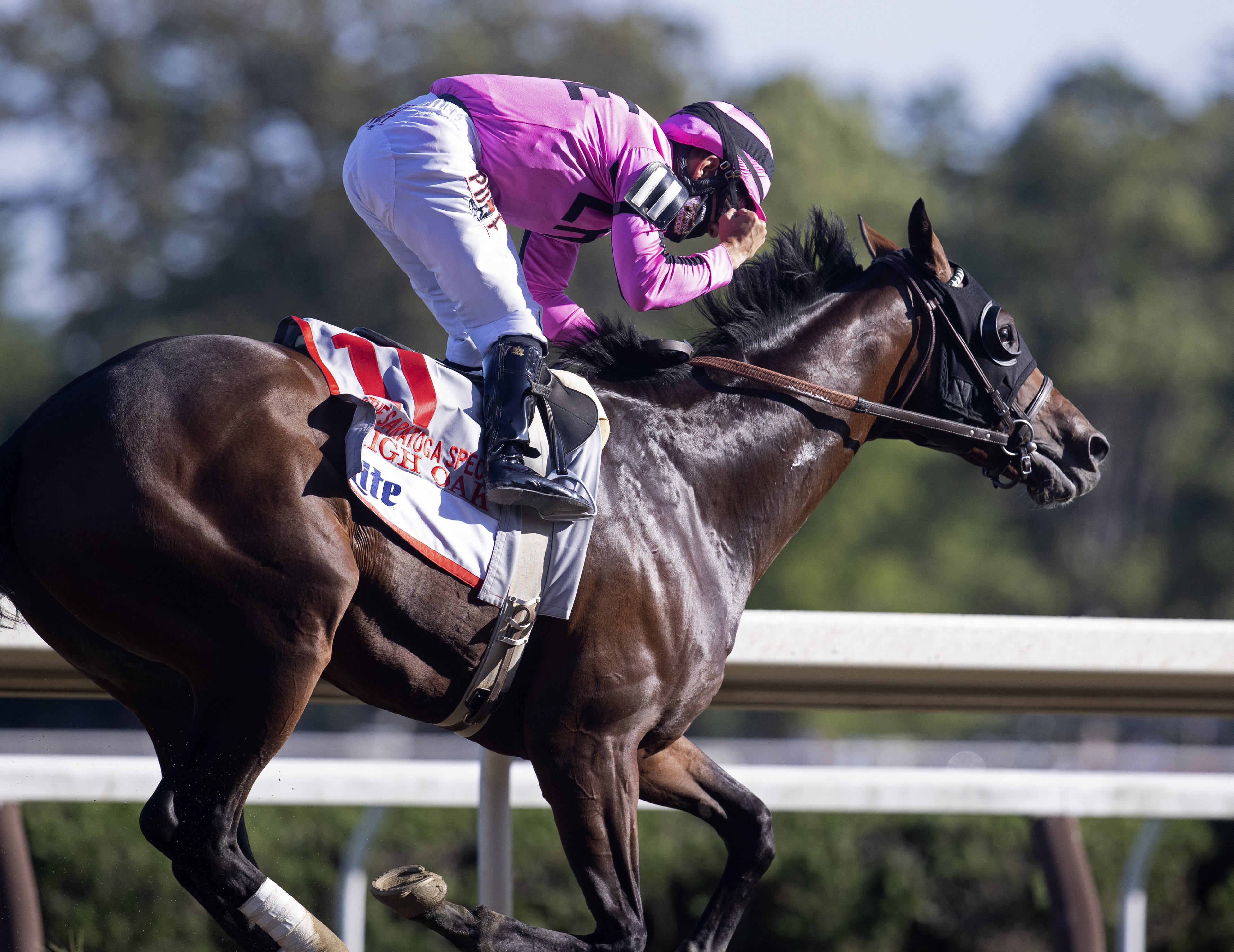 High Oak wins Saratoga Special 8-14-2021