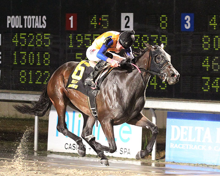 High On Gin wins the 2019 My Trusty Cat Stakes at Delta Downs