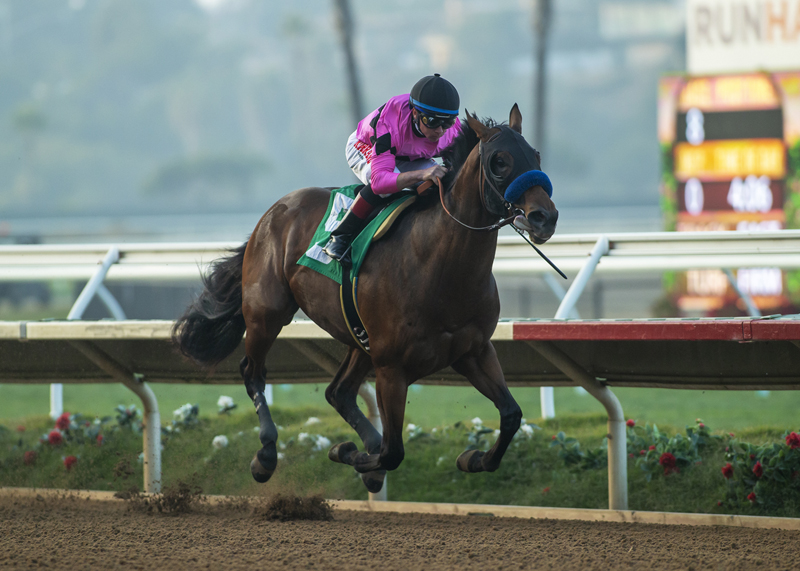 High Velocity wins the 2019 Bob Hope Stakes
