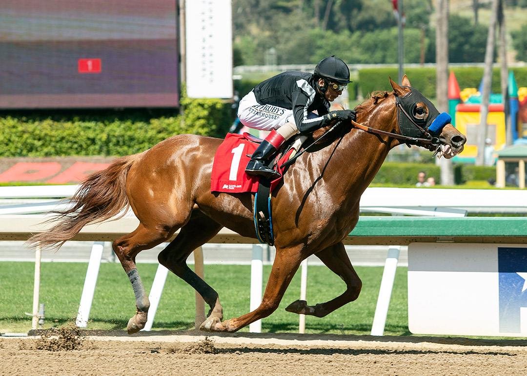High Connection wins a March 26 maiden at Santa Anita Park