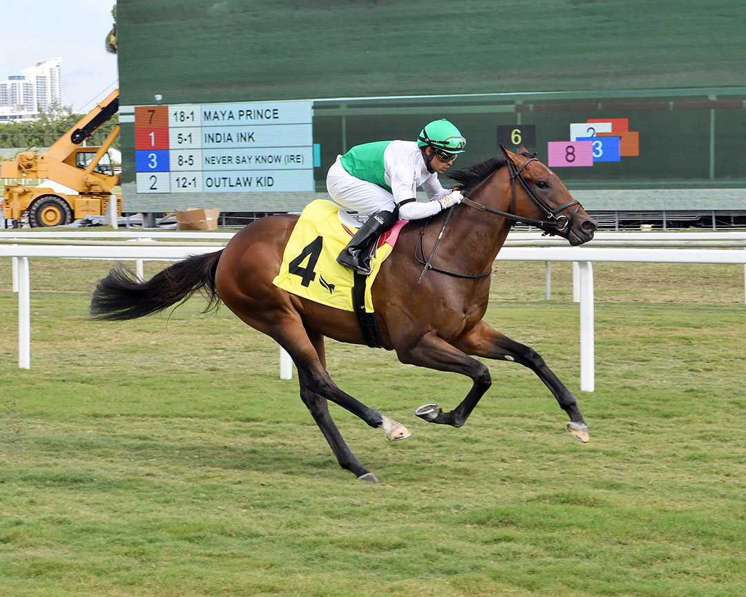 High Front wins a Jan. 28 maiden race at Gulfstream Park