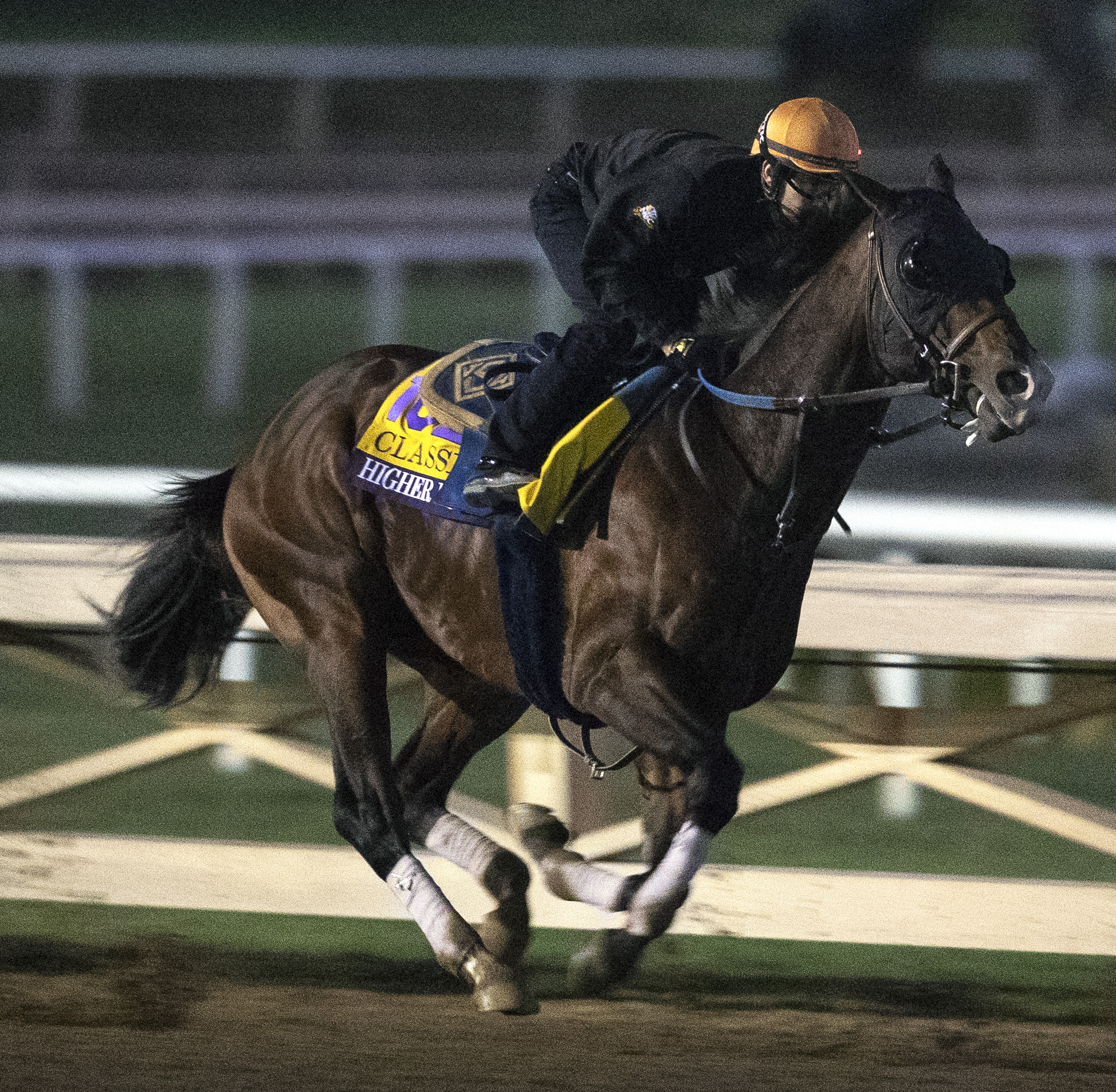 Higher Power works at Santa Anita Park on 10.26.19