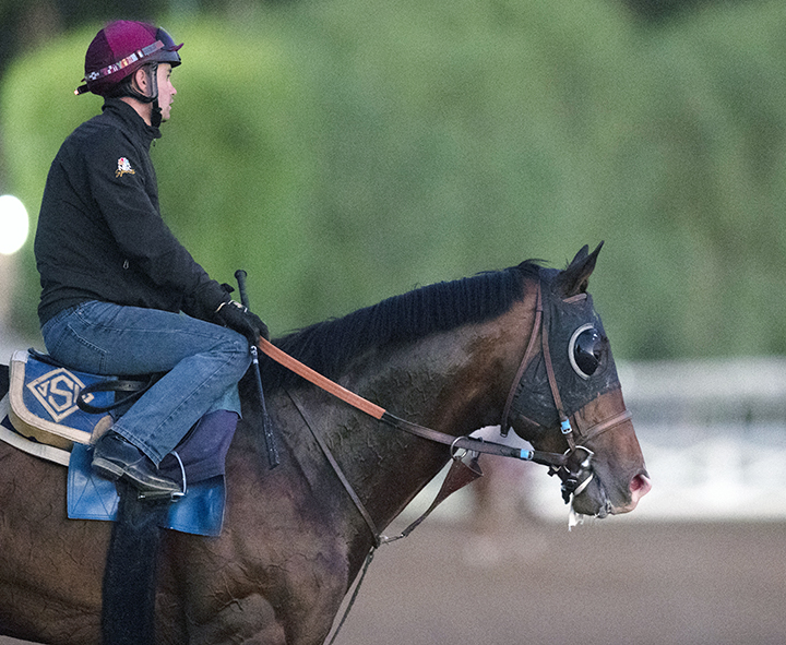 Higher Power at Santa Anita Park on Oct. 19, 2019
