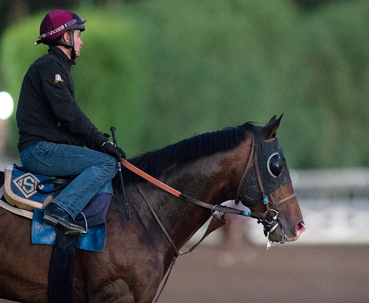 Higher Power at Santa Anita Park on Oct. 19, 2019