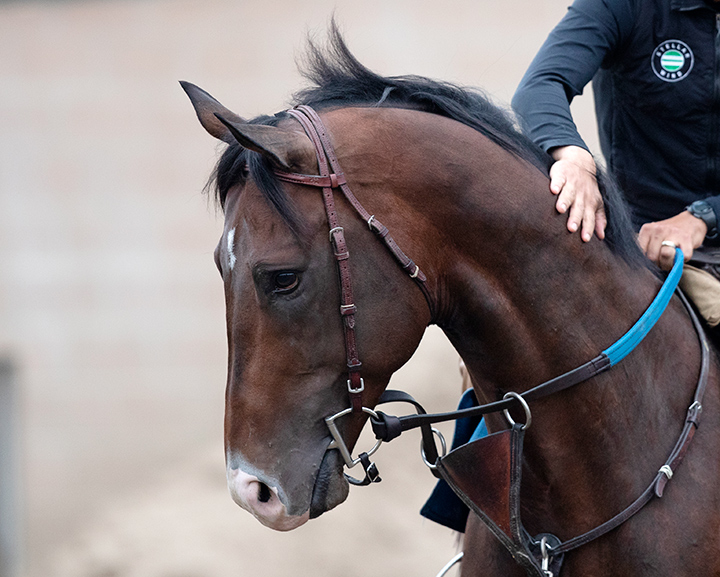 Higher Power at Santa Anita Park on June 18, 2019