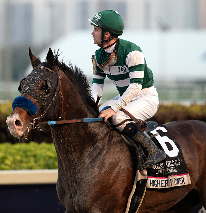 Higher Power at the Pegasus World Cup at Gulfstream Park