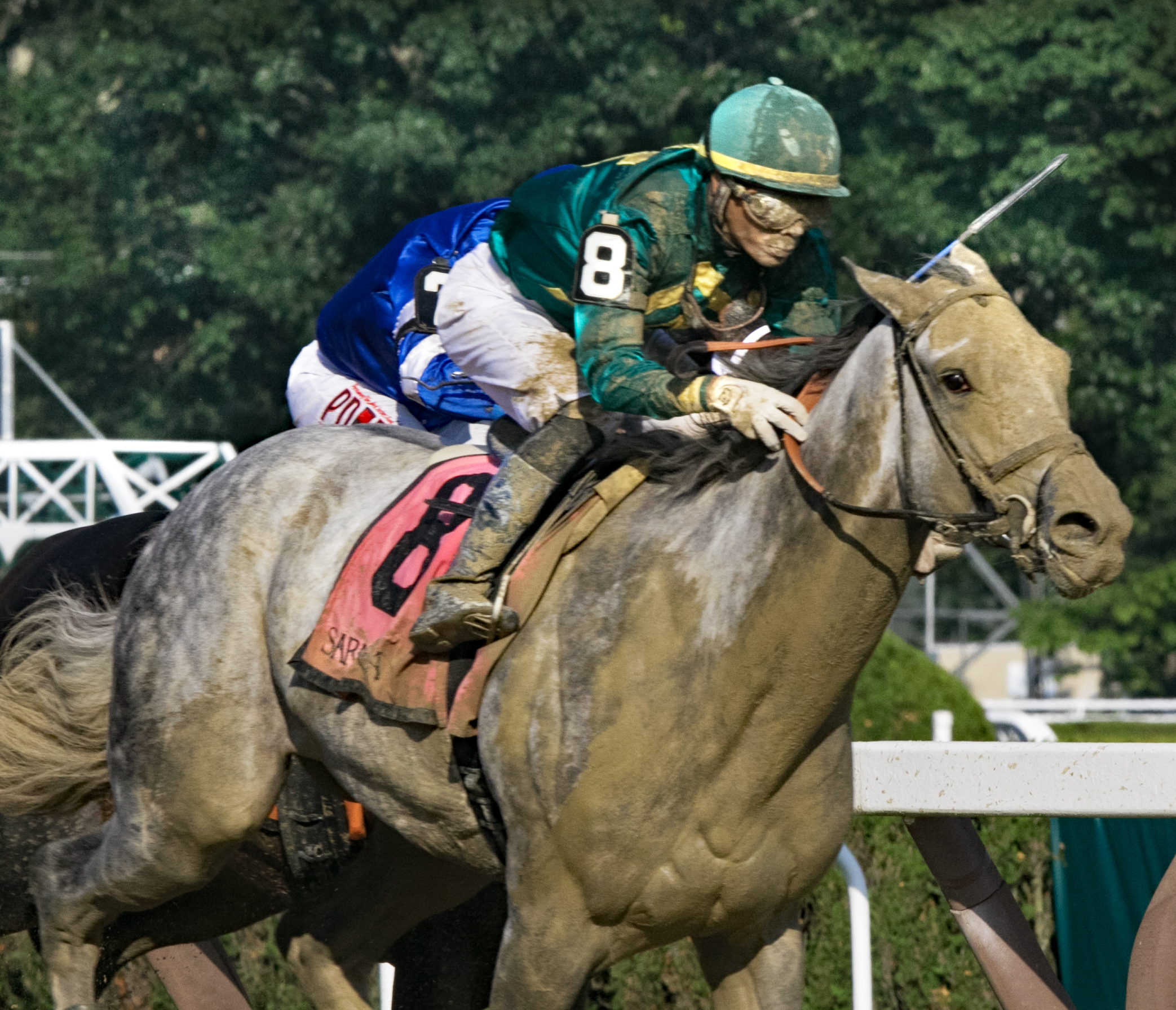 Highest Honors wins the 2019 Curlin Stakes