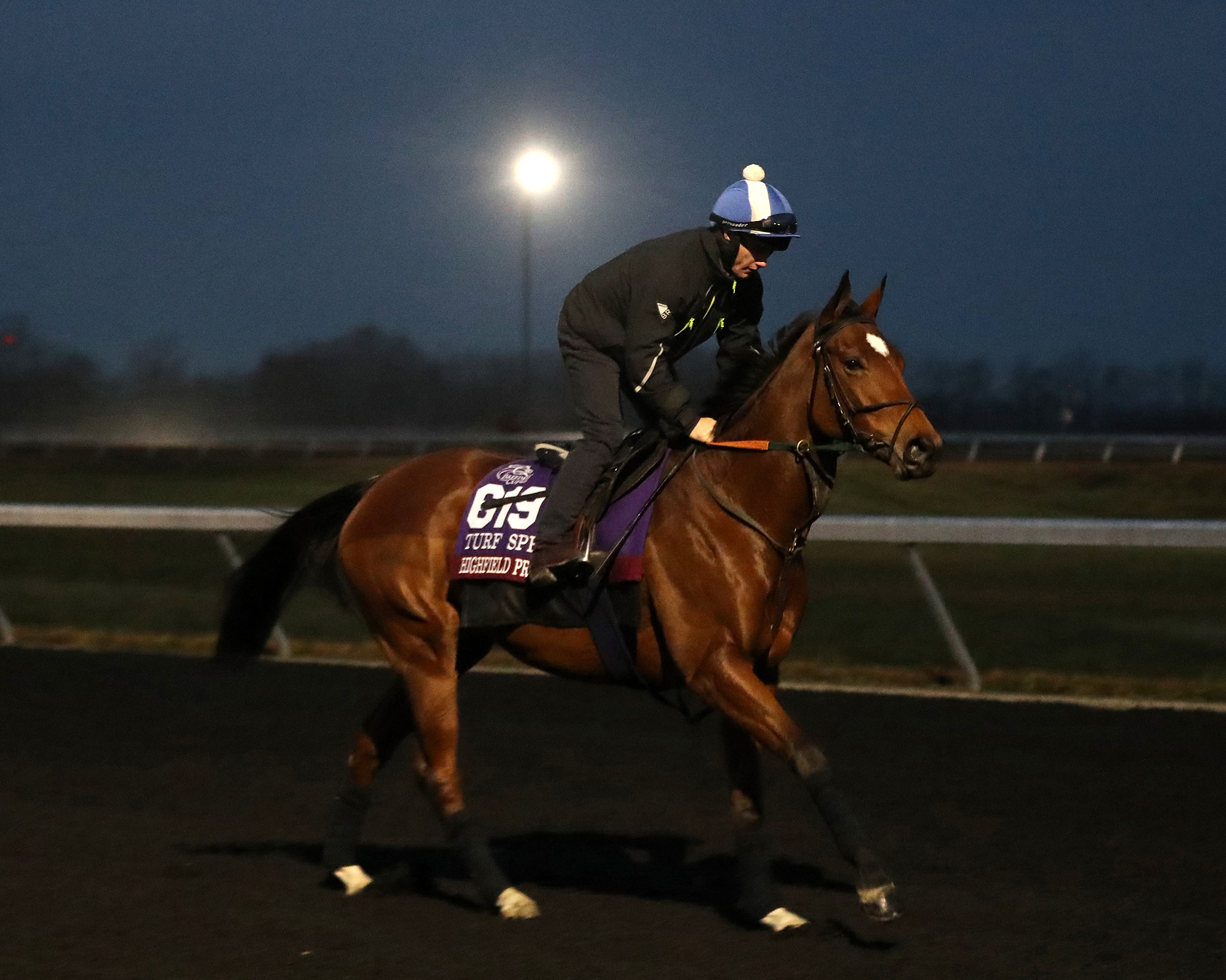Highfield Princess
