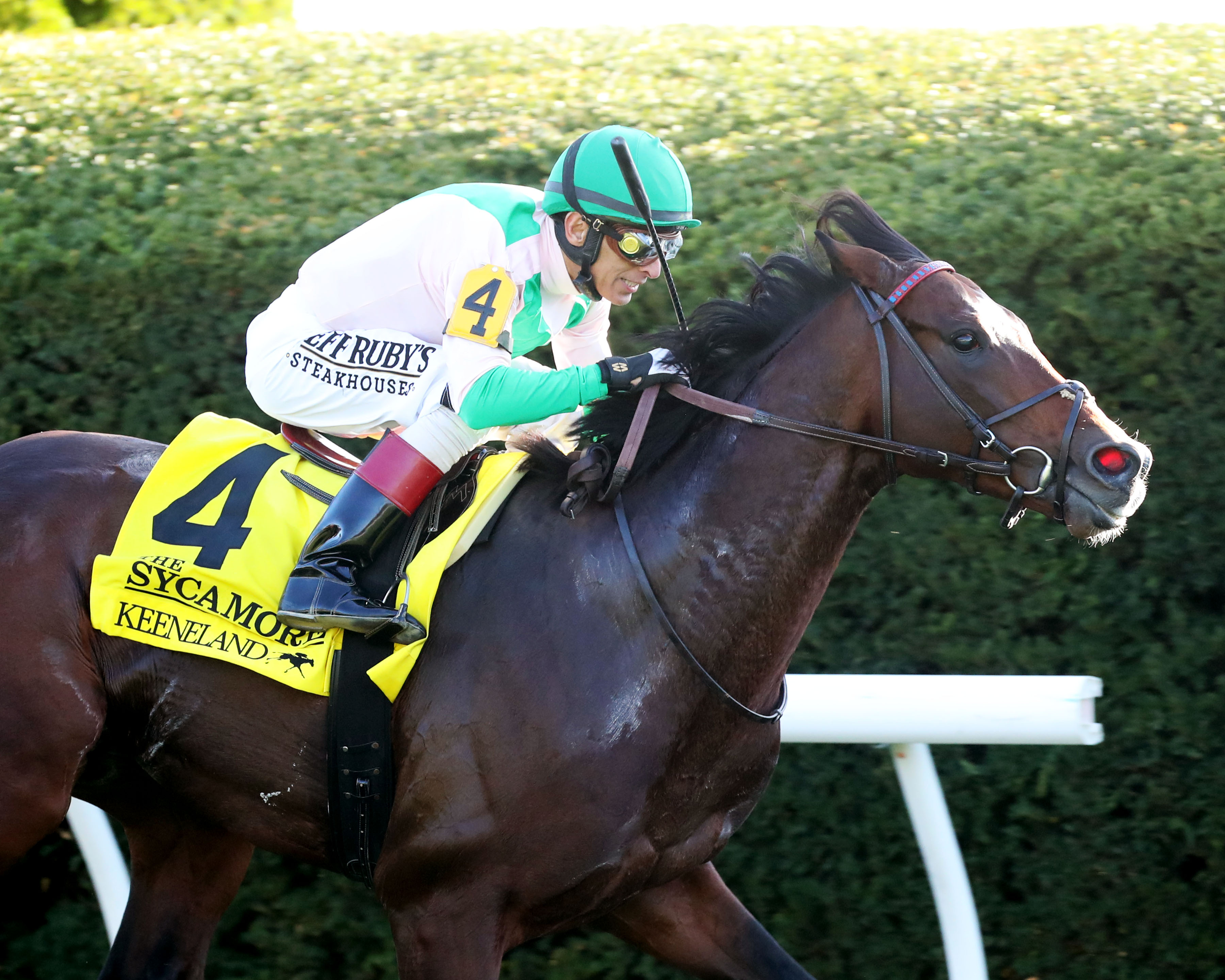 Highland Chief wins the Sycamore at Keeneland Oct 14 2022