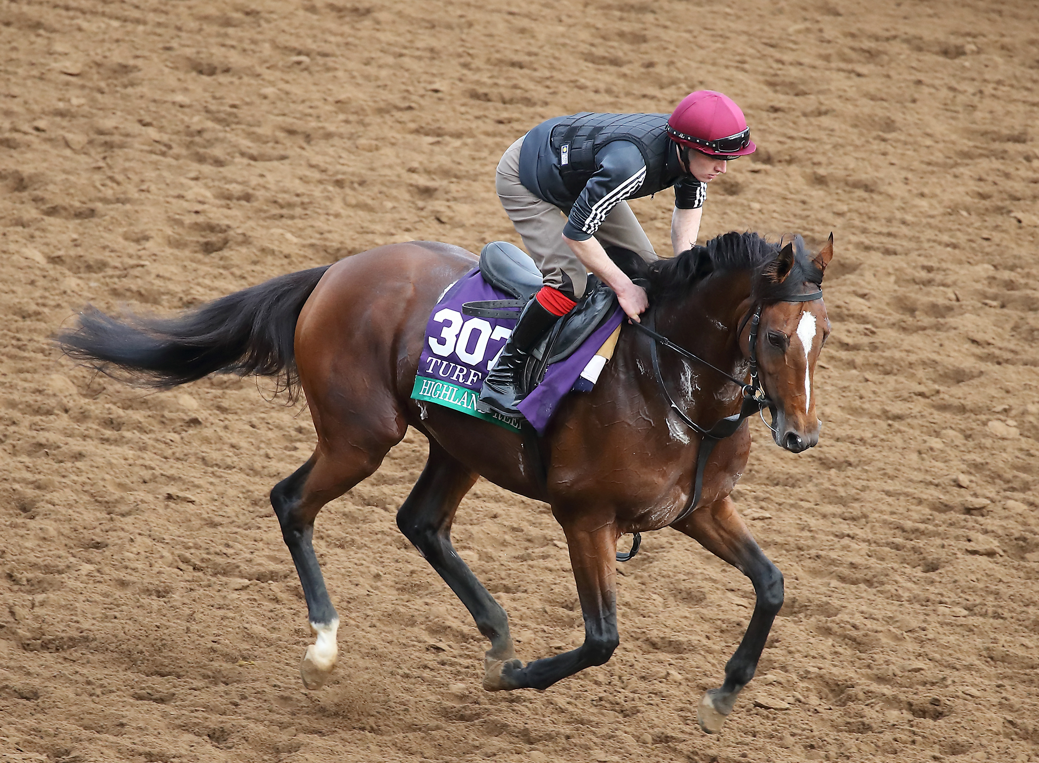 Highland Reel trains at Del Mar on Nov. 2