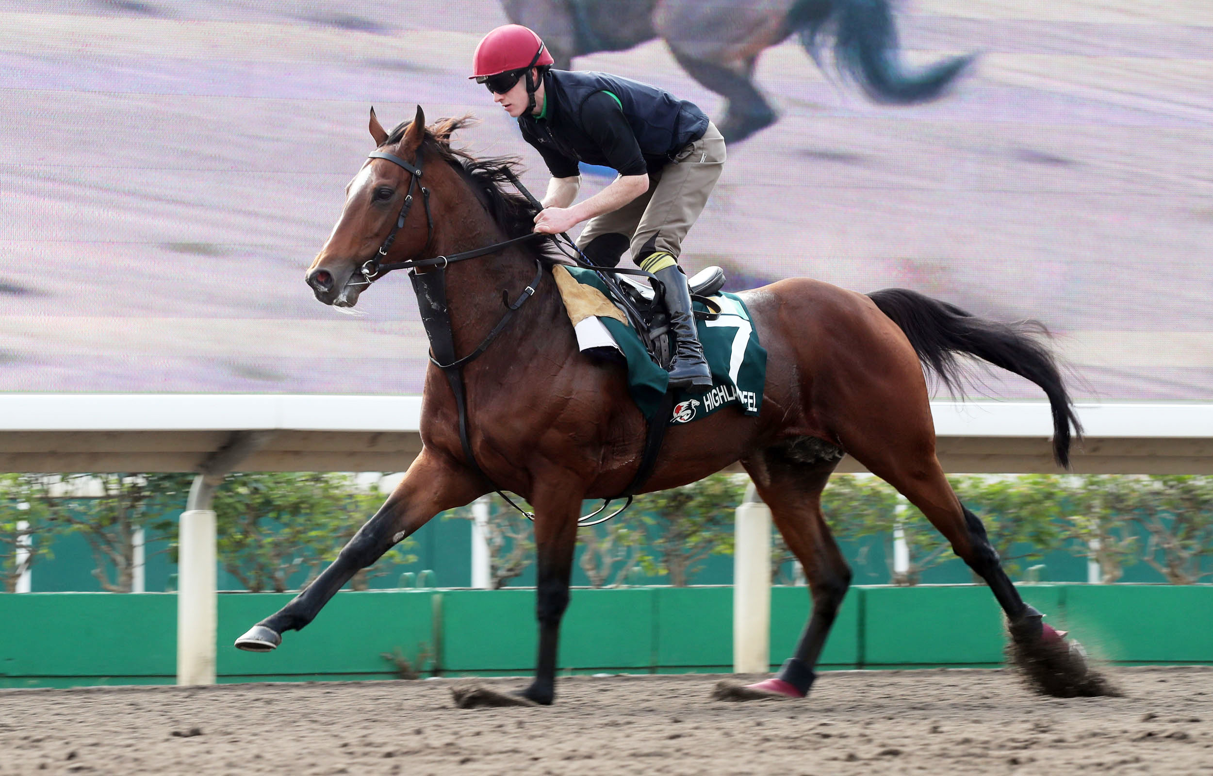 Highland Reel at Sha Tin on Dec.5