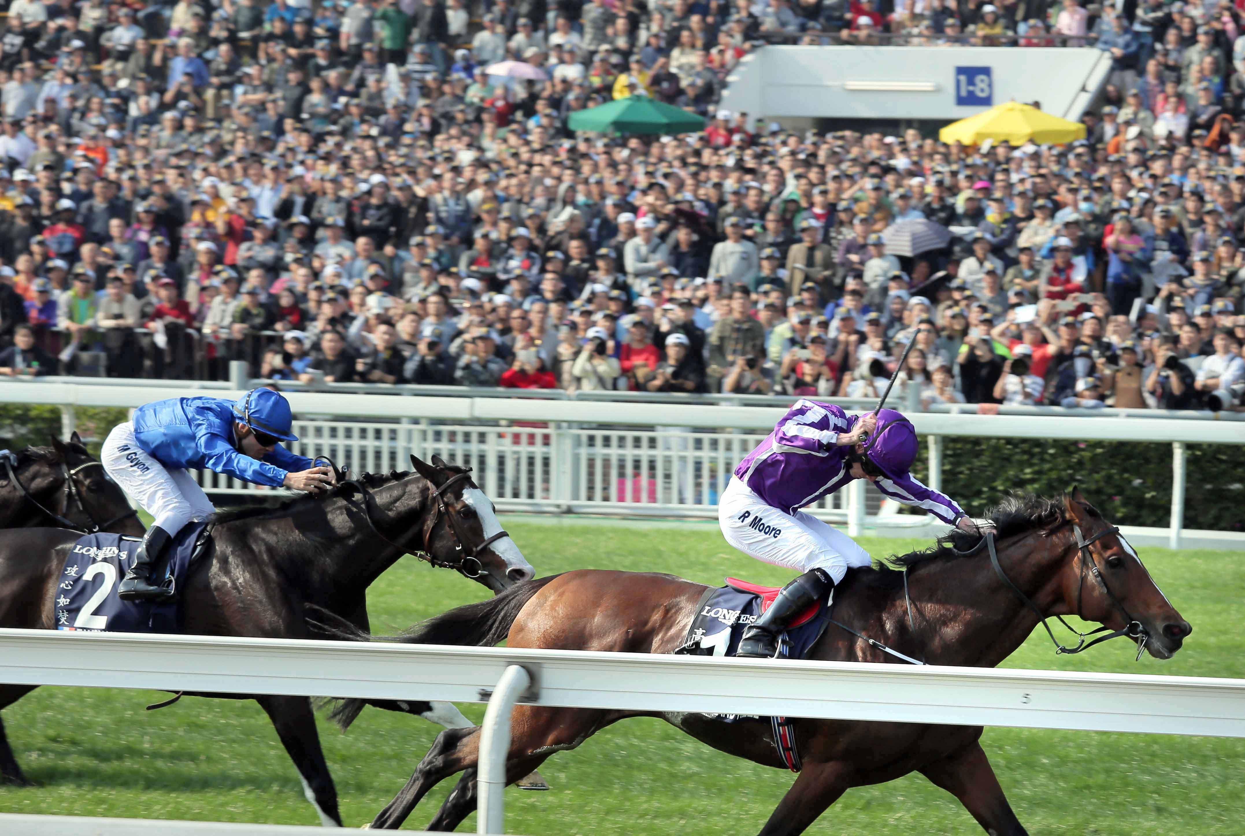 Highland Reel wins the Hong Kong Vase