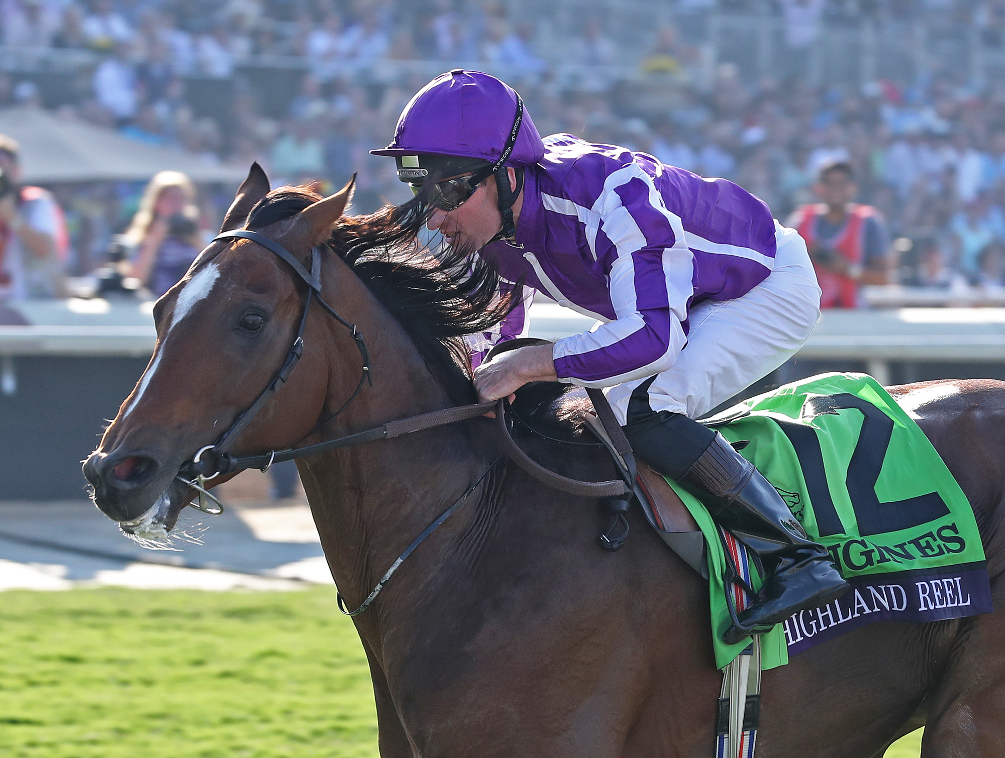 Highland Reel 11-5-2016