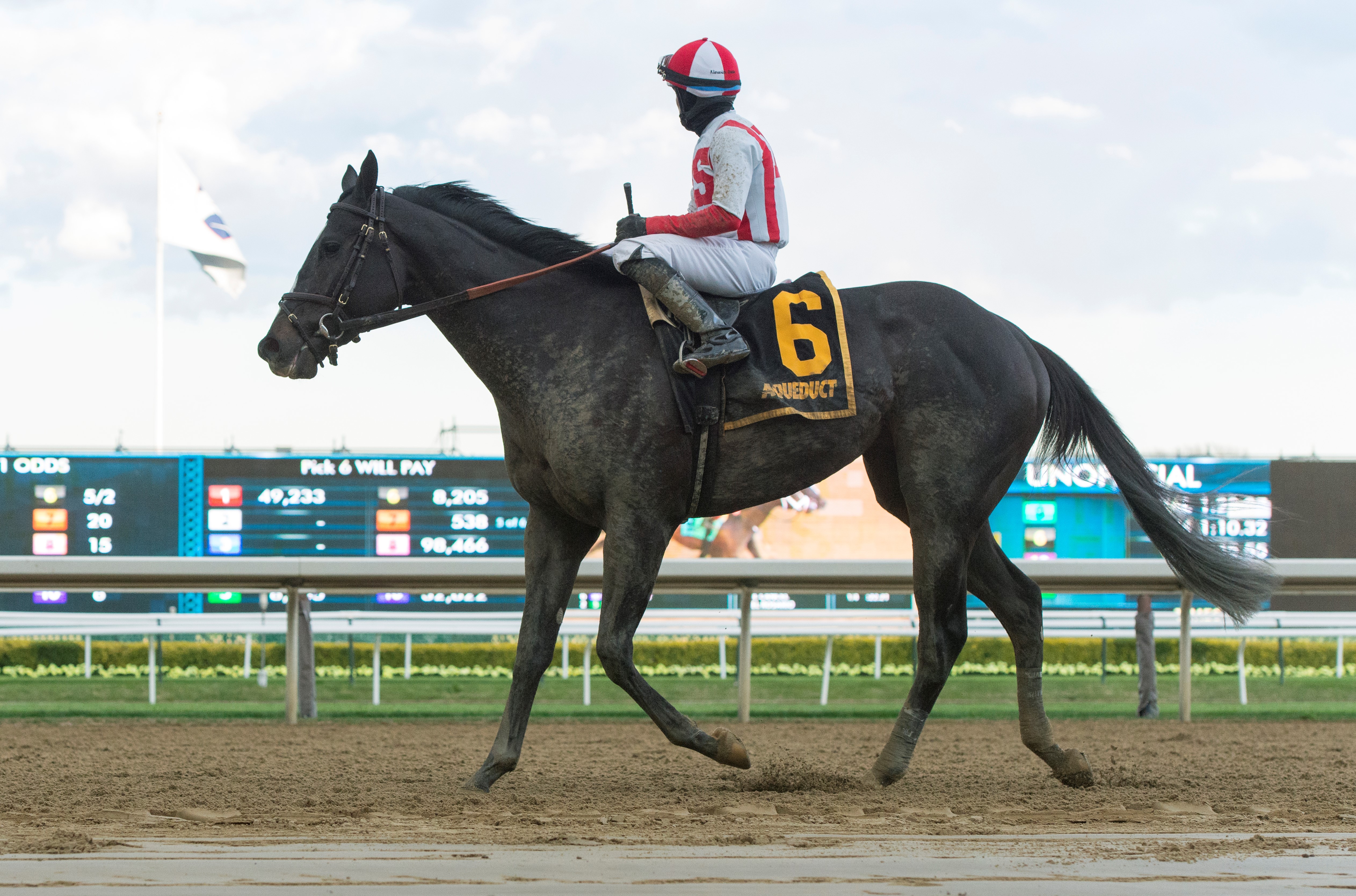 Highly Respected after the Bay Shore at Aqueduct on April 9 2022
