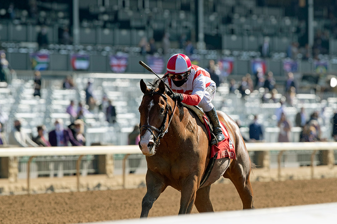 Highly Motivated wins the 2020 Nyquist Stakes at Keeneland Racecourse